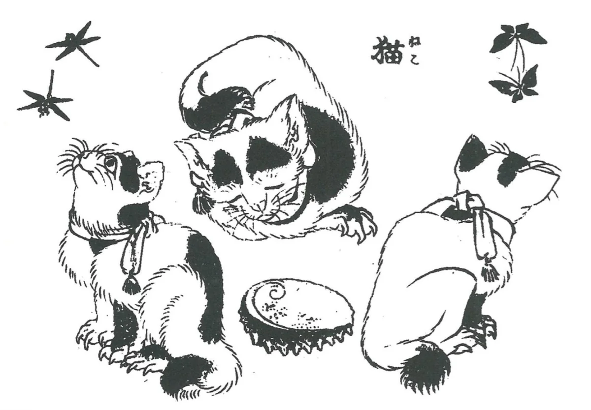 北斎が描いた猫