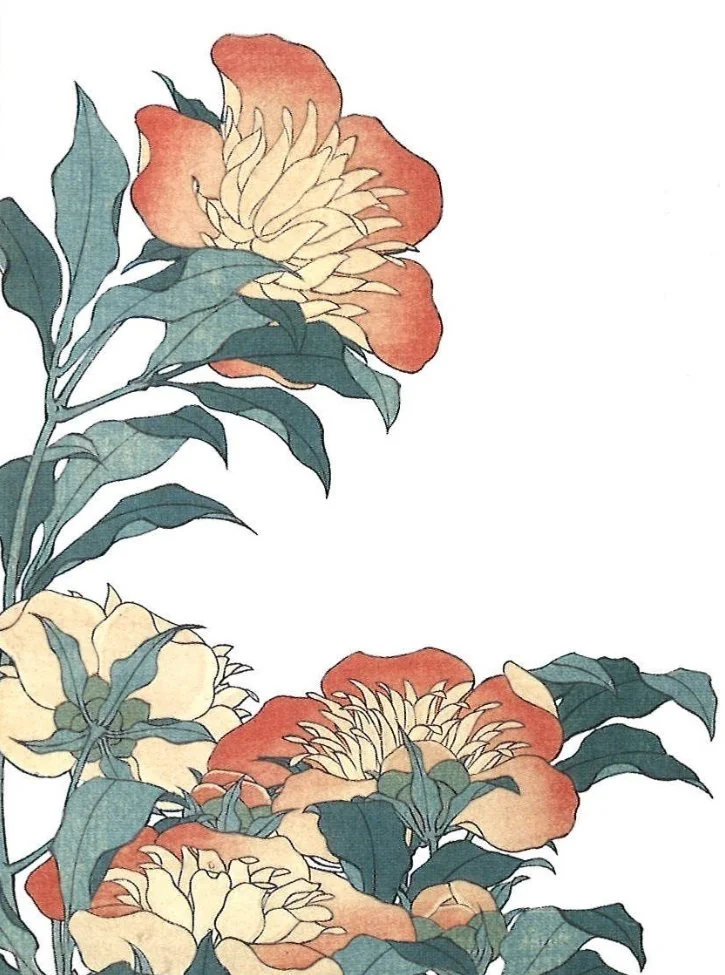 北斎が描いた牡丹